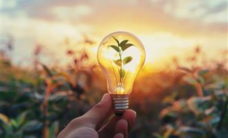 《中共中央关于进一步全面深化改革、推进中国式现代化的决定》健全绿色低碳发展机制