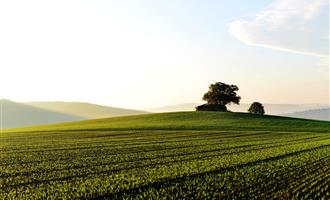五部门联合开展五大专项行动 加强金融支持乡村全面振兴