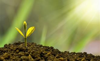 推动普惠金融提质扩面