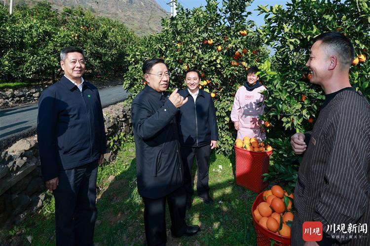 王晓晖在凉山州调研时强调：更加注重在发展中保障和改善民生，在满足民生需求中不断拓展发展空间