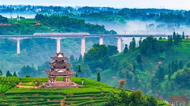 “十五五”开局，绿色发展雅安如何先行？丨市州观察